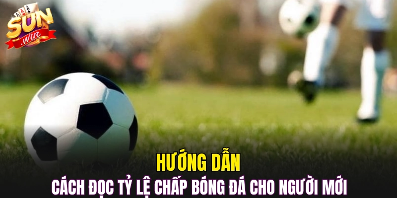 Hướng dẫn cách đọc tỷ lệ chấp bóng đá cho người mới